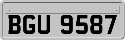 BGU9587