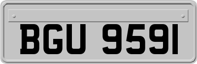 BGU9591