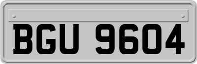BGU9604