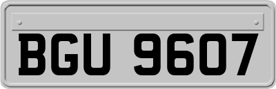 BGU9607