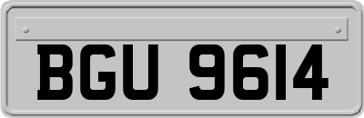 BGU9614