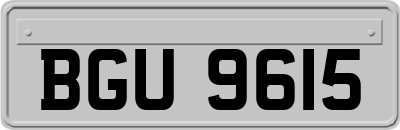 BGU9615