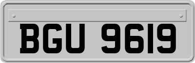 BGU9619