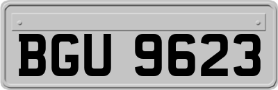BGU9623