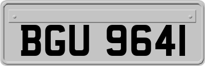 BGU9641