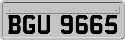 BGU9665