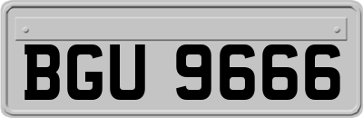 BGU9666