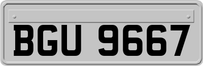 BGU9667