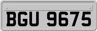 BGU9675