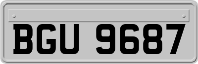BGU9687