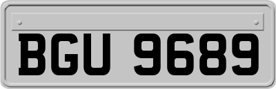 BGU9689