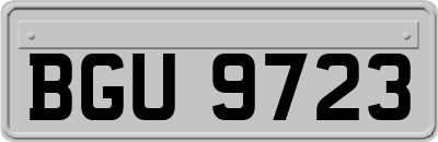 BGU9723