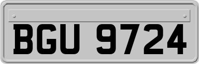 BGU9724