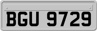 BGU9729