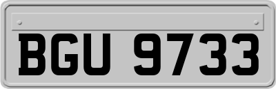 BGU9733