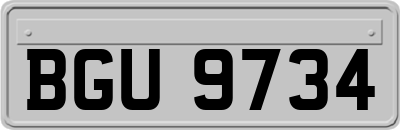 BGU9734