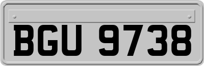 BGU9738