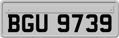 BGU9739