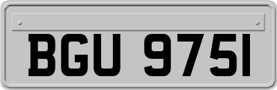 BGU9751