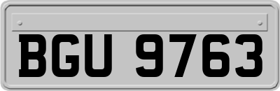 BGU9763