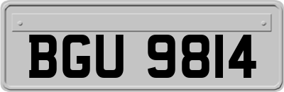 BGU9814