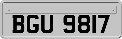 BGU9817