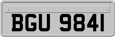BGU9841