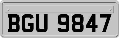 BGU9847