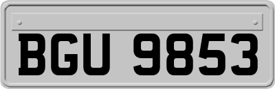 BGU9853