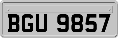 BGU9857