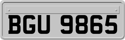 BGU9865