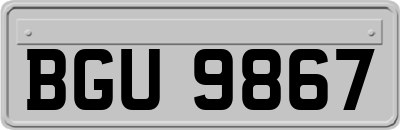 BGU9867