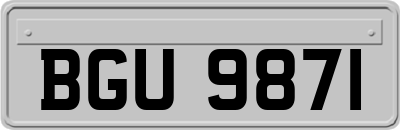 BGU9871