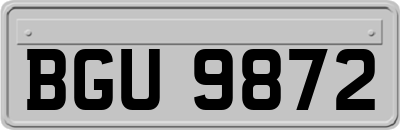 BGU9872