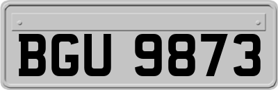 BGU9873