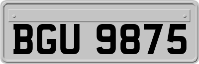 BGU9875
