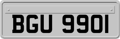 BGU9901