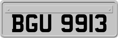BGU9913