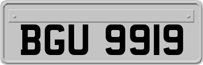 BGU9919