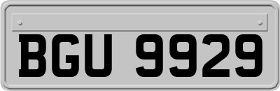 BGU9929