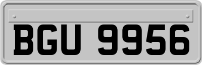 BGU9956