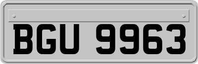 BGU9963
