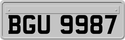 BGU9987