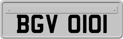 BGV0101
