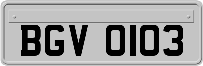 BGV0103