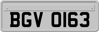 BGV0163