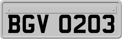 BGV0203