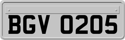 BGV0205