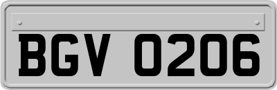 BGV0206