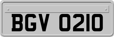 BGV0210
